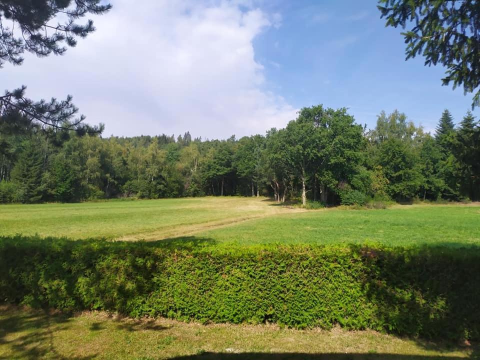 Chalet du Spièmont Champdray Extérieur photo