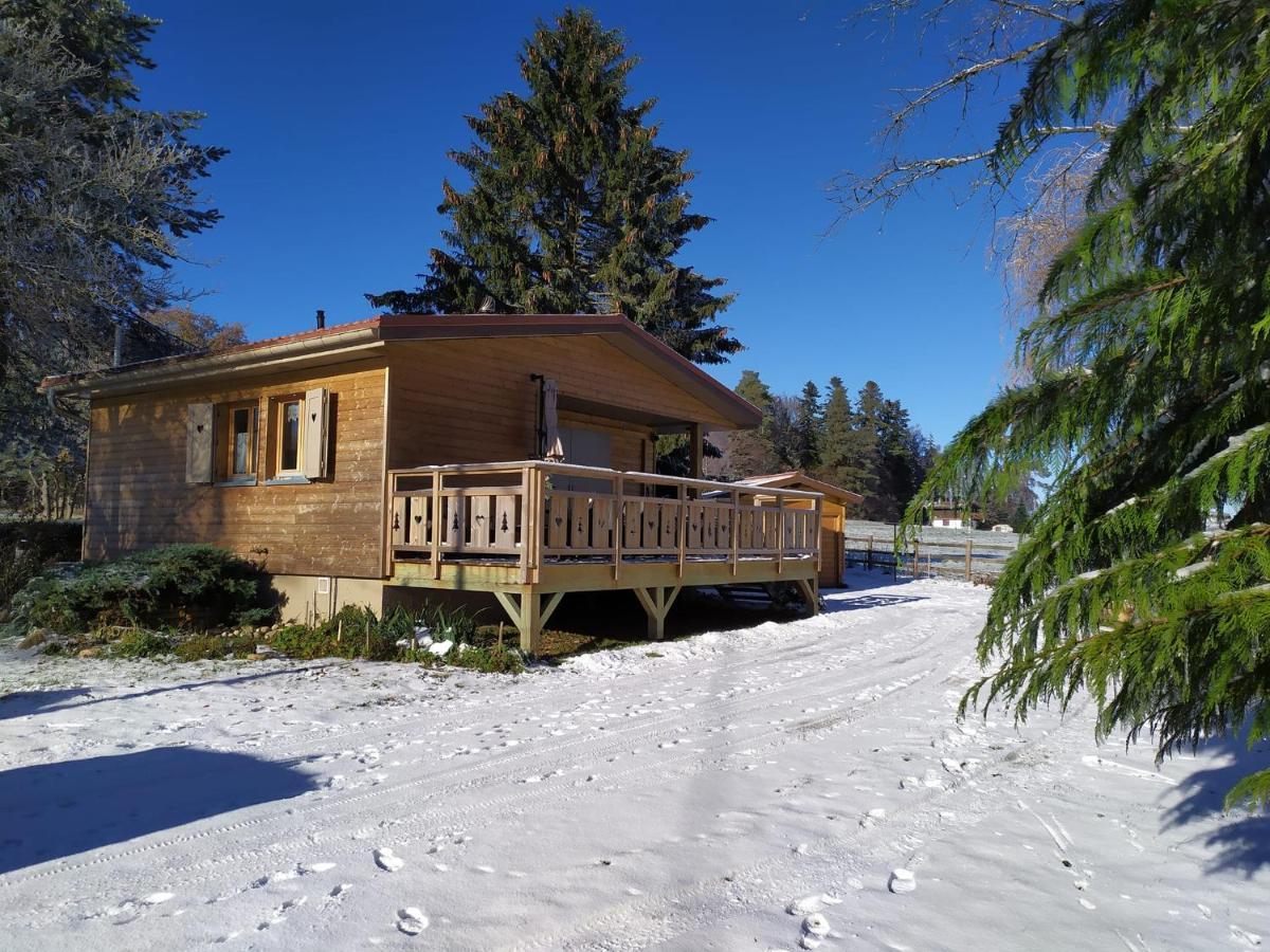 Chalet du Spièmont Champdray Extérieur photo
